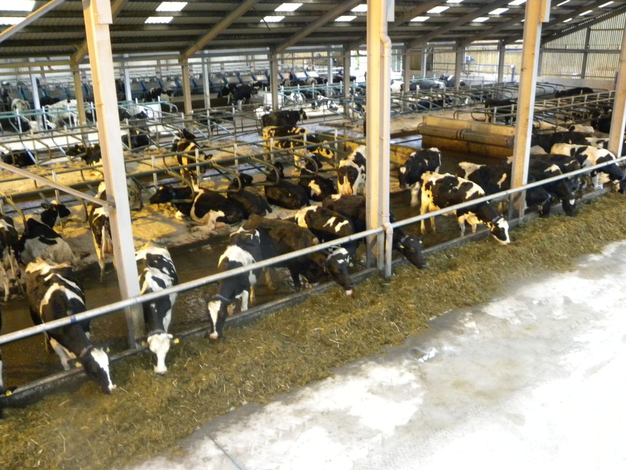 'We can't lose sight of the farmer - there must be a dividend for them'