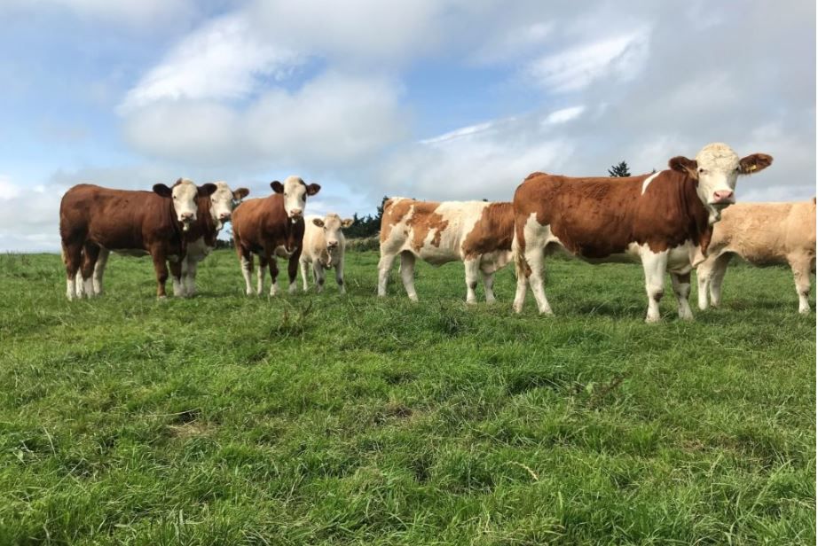 TB Forum agrees 10 policy actions - but 'work still needed'