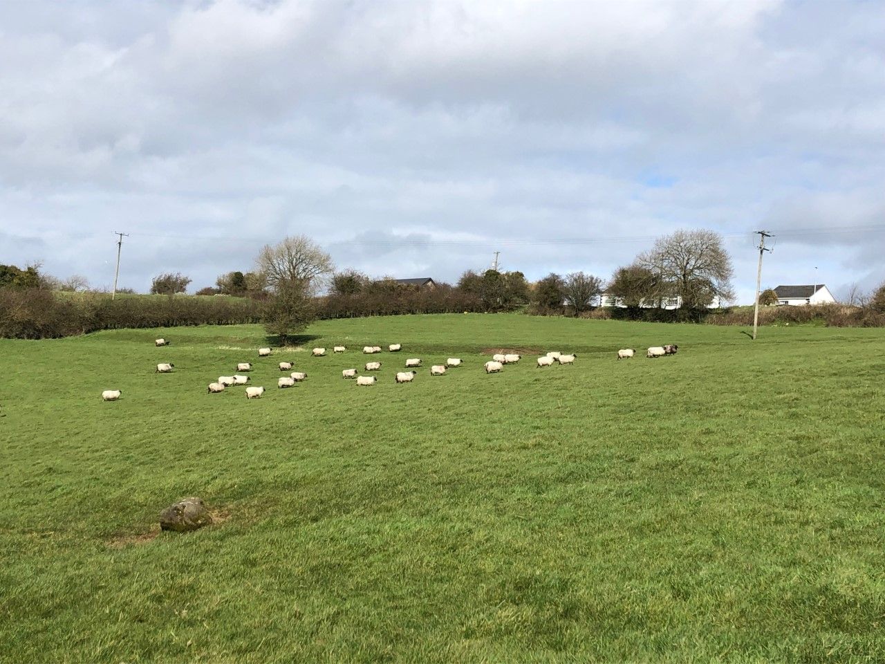 Latest coronavirus updates for farmers…as they happen [April week 4]