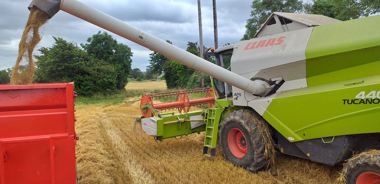 Rain halts harvest...plus straw news