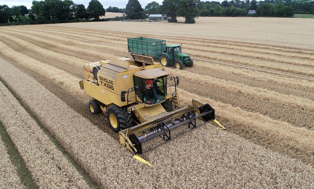Video: Get a real insight into life with a TX66 in Co. Kildare