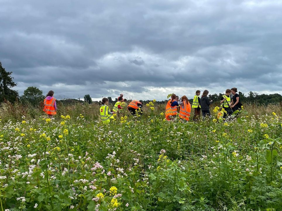 Limerick's Doon Social Farm in growth mode