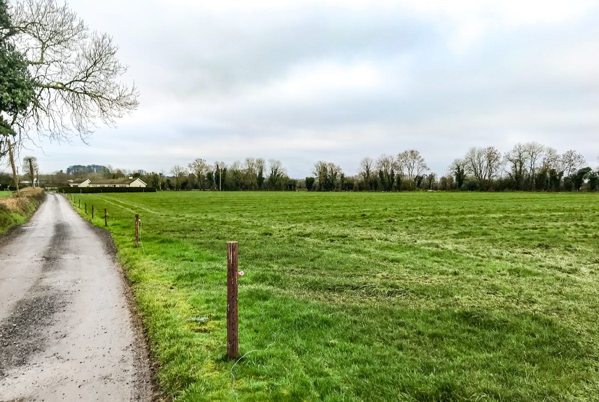 Dairy advice: Setting up the appropriate paddock size this autumn