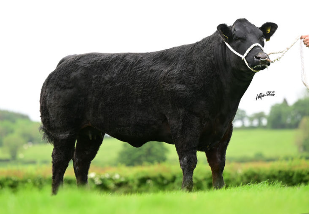 Lot 110 sold for £18,000. Image source: MartEye