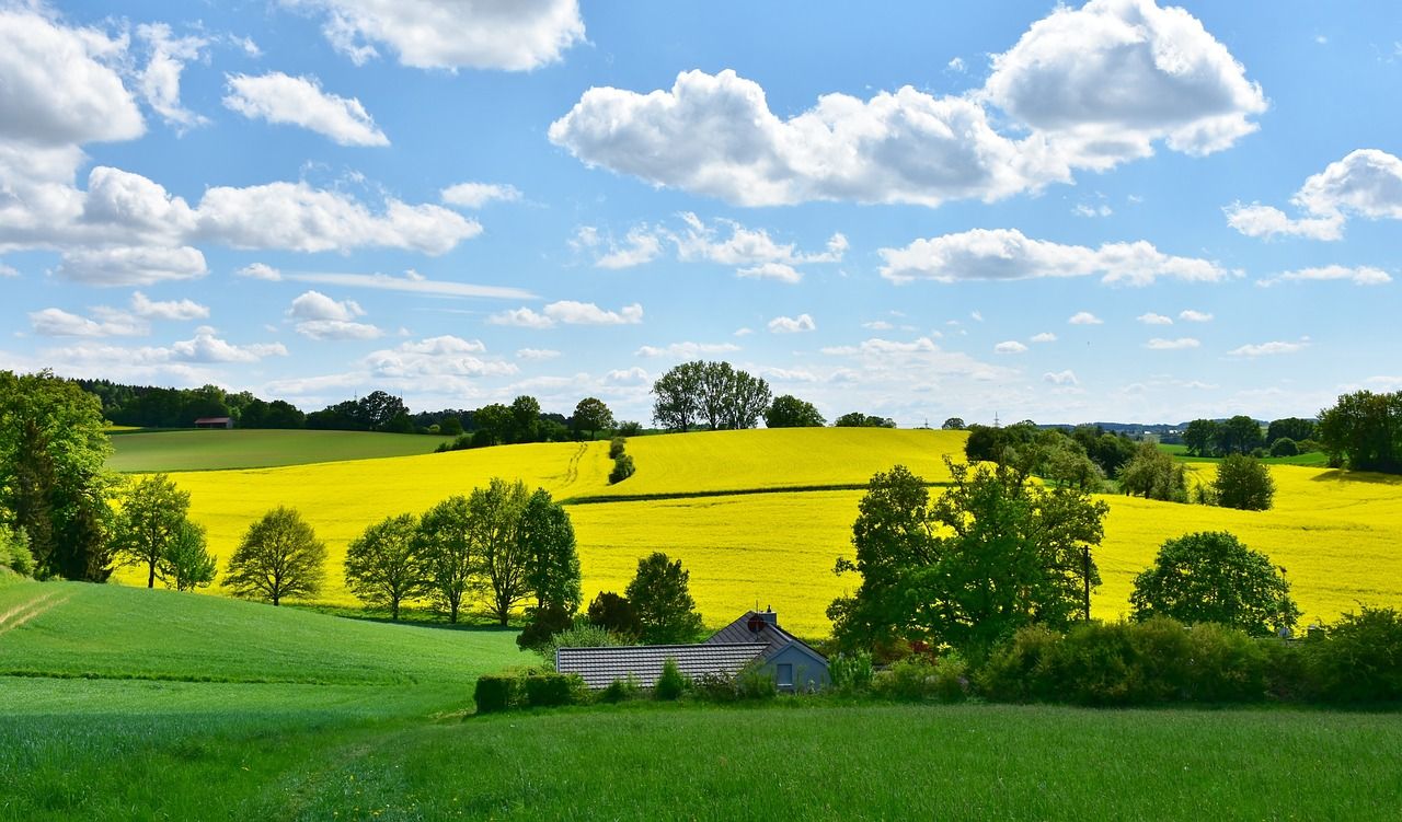 Report: Fewer 'one-off' houses secured planning permission in 2023