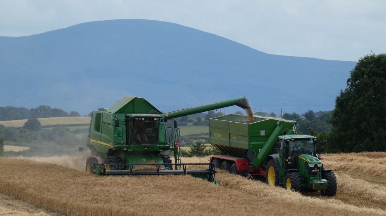 Grain price: EU harvest looking good; no enthusiasm in the market