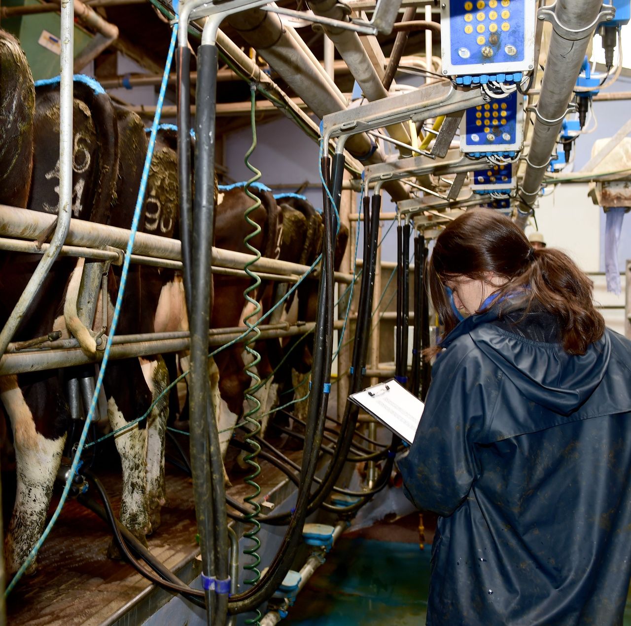 Next phase of €26.2m VistaMilk Research Ireland Centre launched