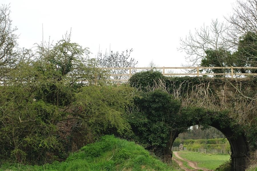 Greenways development approach 'needs review' - IFA
