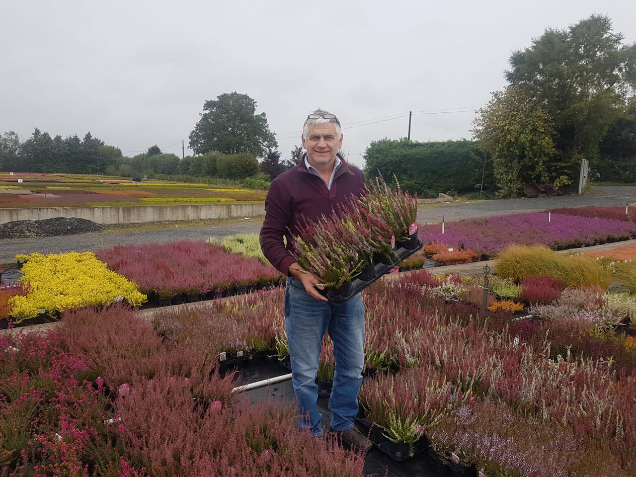 Nursery owner says jobs at risk in horticulture industry