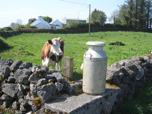 Milk suppliers call for end to 'low and slow’ approach to passing on better prices