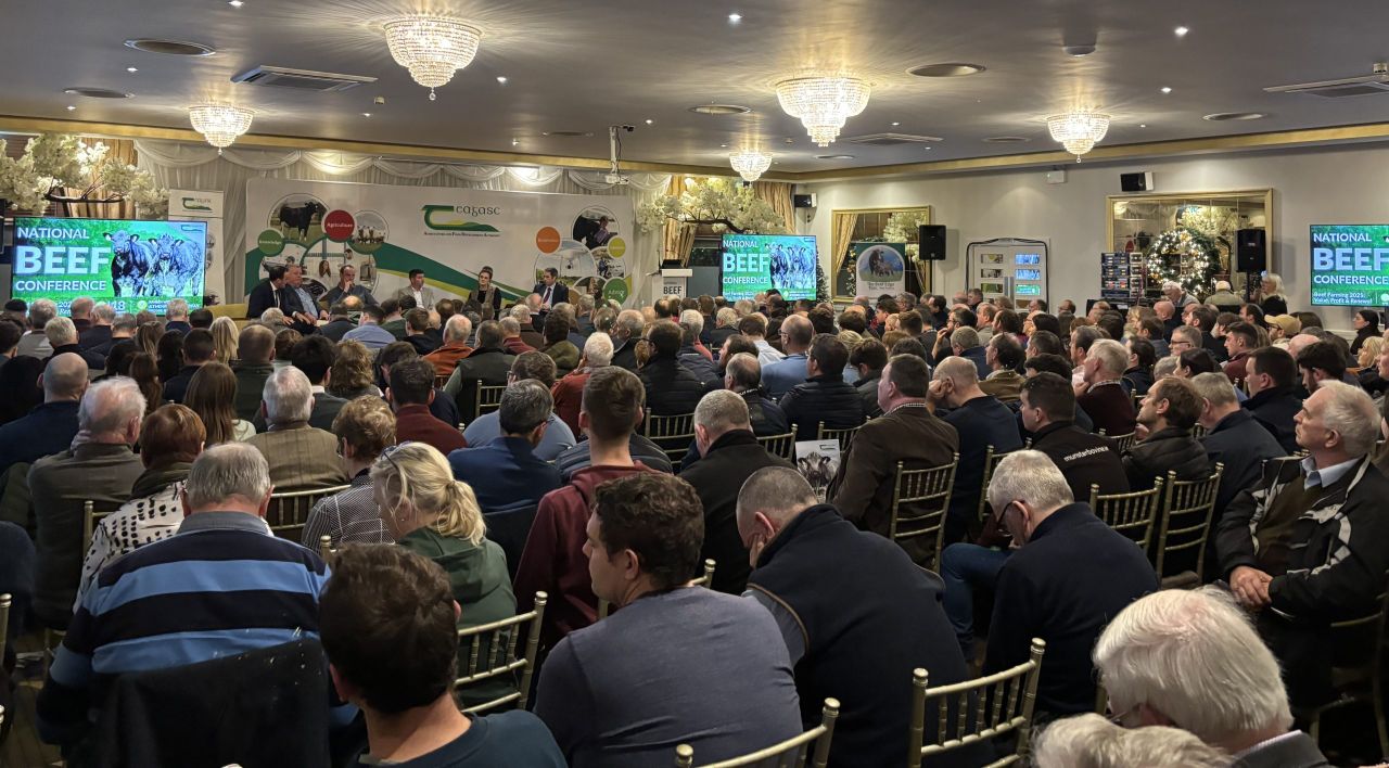 Beef conference: Weanlings, markets, succession and tax planning
