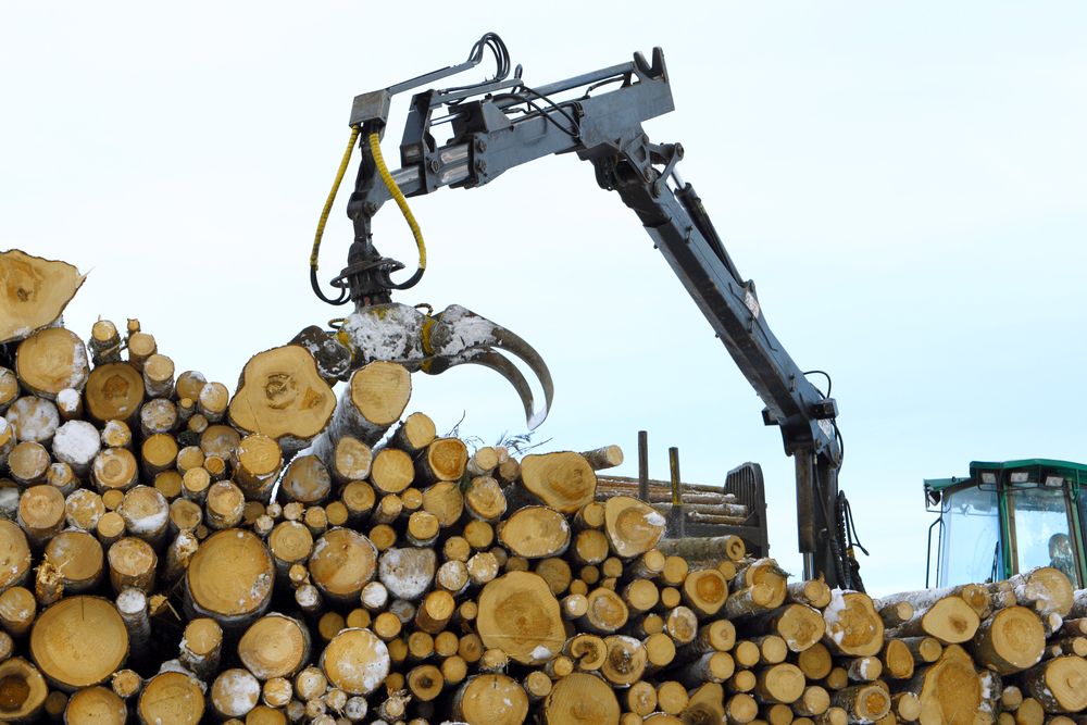 DAFM warns forestry operators of used machinery biosecurity risk