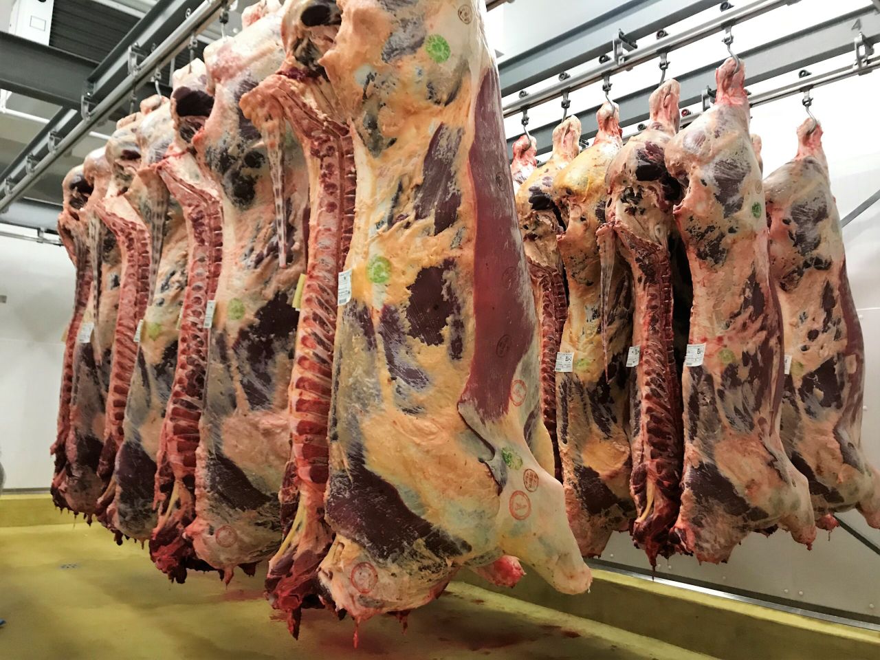Philippines: Largest volume buyer of Irish beef outside EU