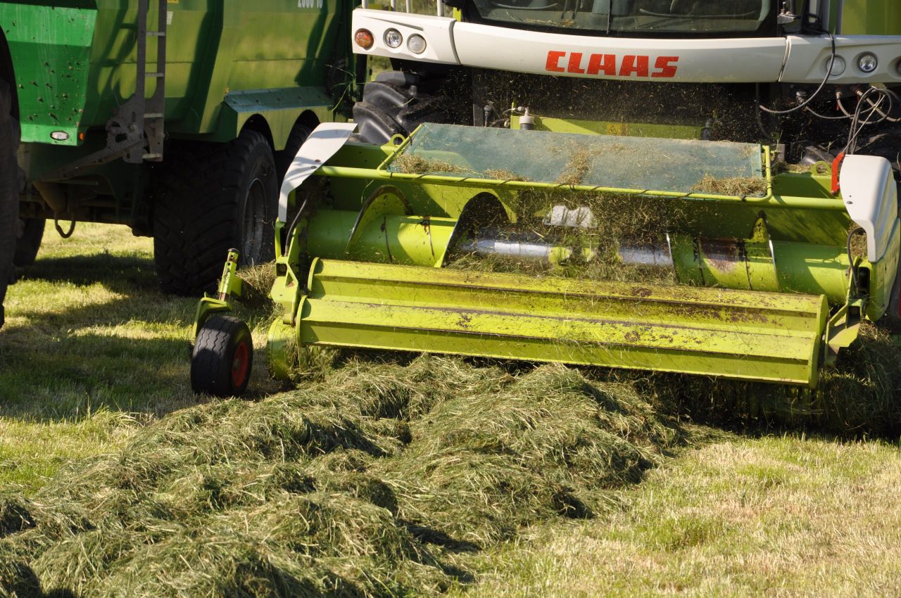 Steps to Superior Silage Series: Harvesting and treating grass