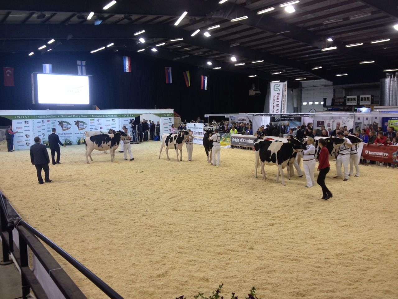 Entries up at this years Millstreet Dairy Show