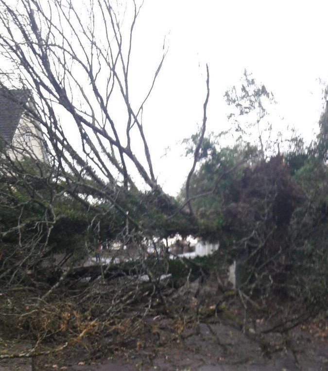 Ophelia: Milk collection services disrupted as the country braces for impact