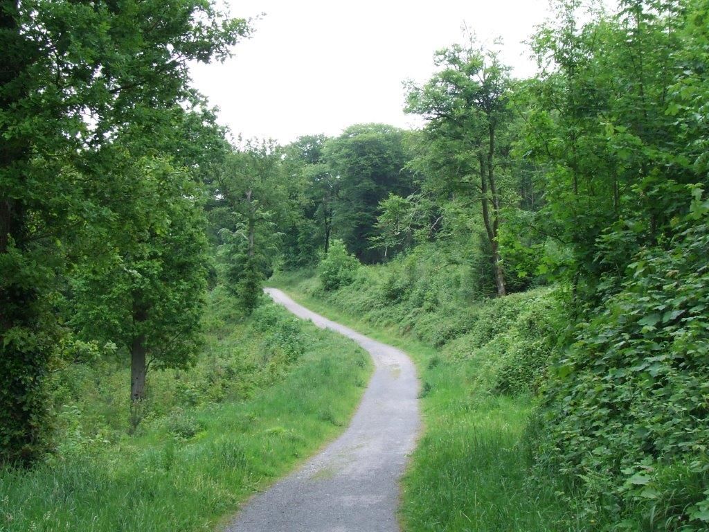 New public-private collaboration woodland fund announced