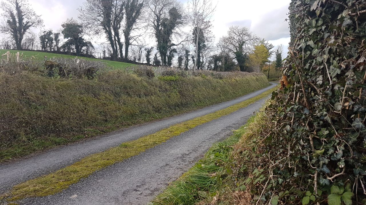 Irish Rural Link seeks directive for groups on Covid-19