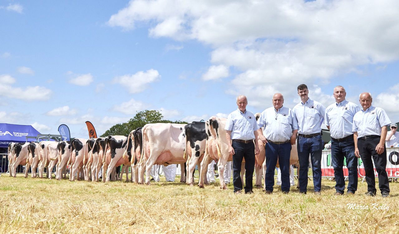 Watch: Results and action from 2026 IHFA open day