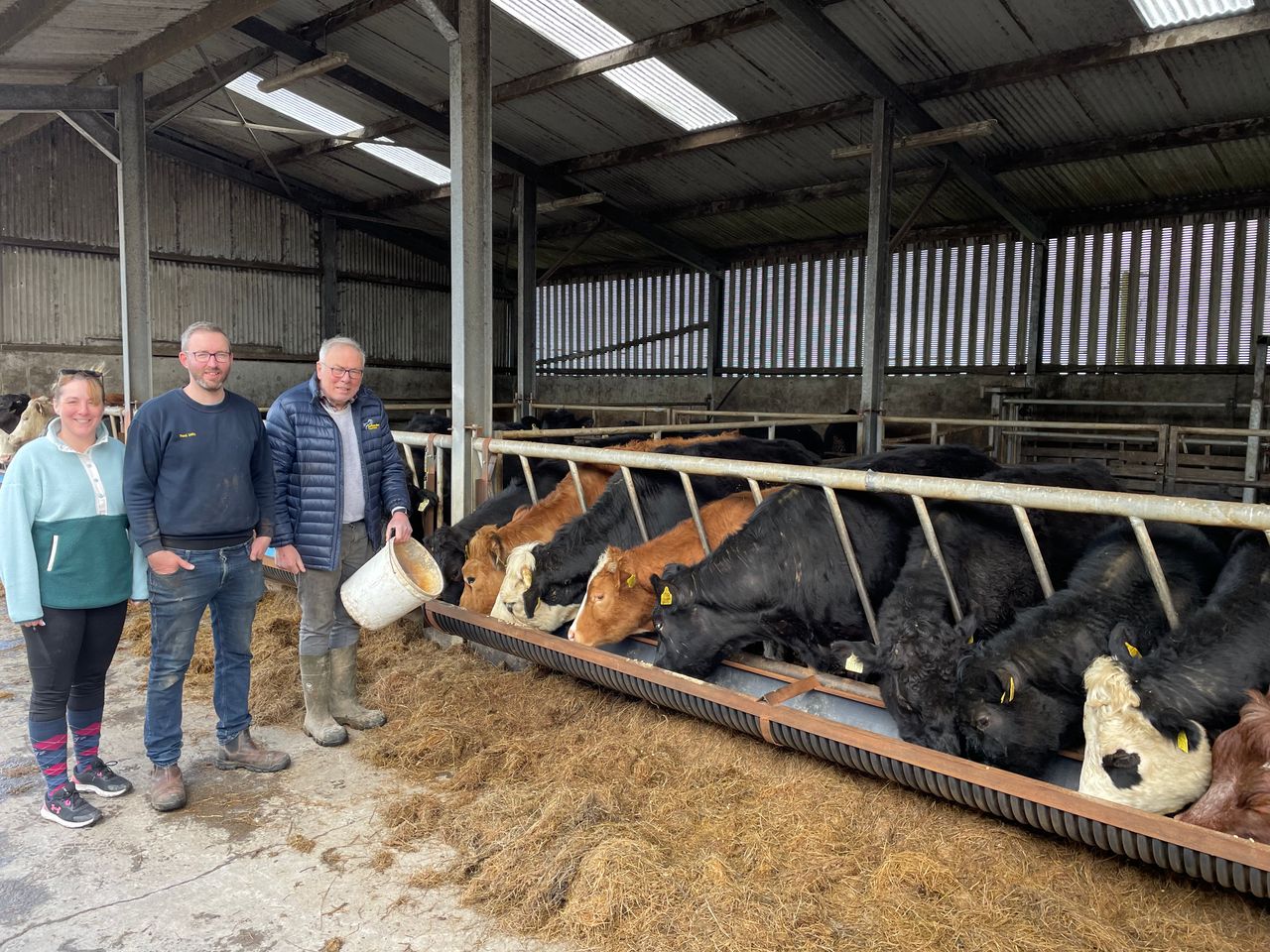 Watch: The cattle trough design that went viral on TikTok