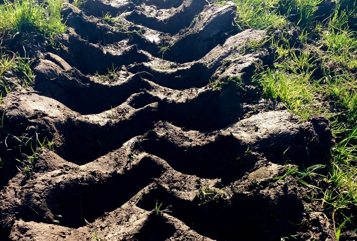 Most soils at field capacity...drier weather will be welcome