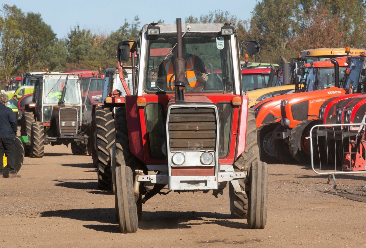Auction report: Buying a Massey on a not-so-massive budget