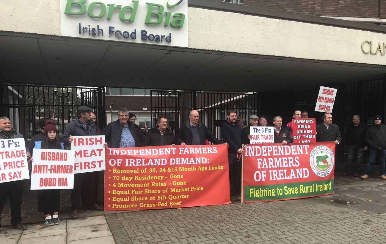 Protesters demonstrate outside Bord Bia buildings
