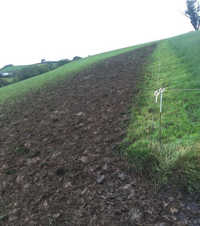 Should I re-house my cows to prevent damage?
