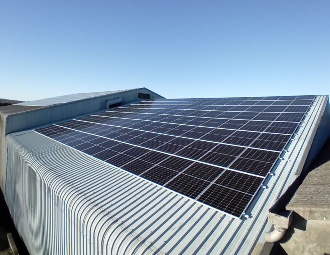 Minister: TAMS Solar PV must be signed off by 'registered' electrician