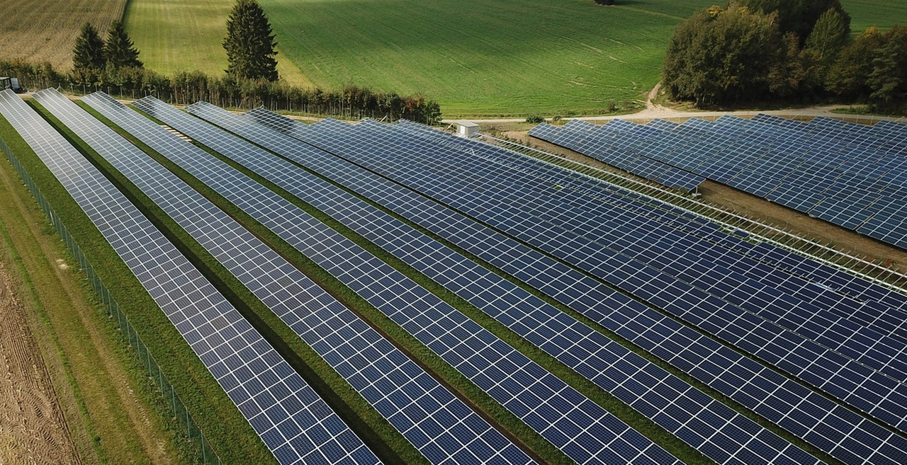East Cork farmers 'selling dairy farms' for solar development - TD