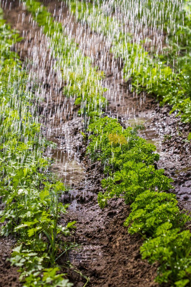 Here's where rainfall was heaviest over the weekend