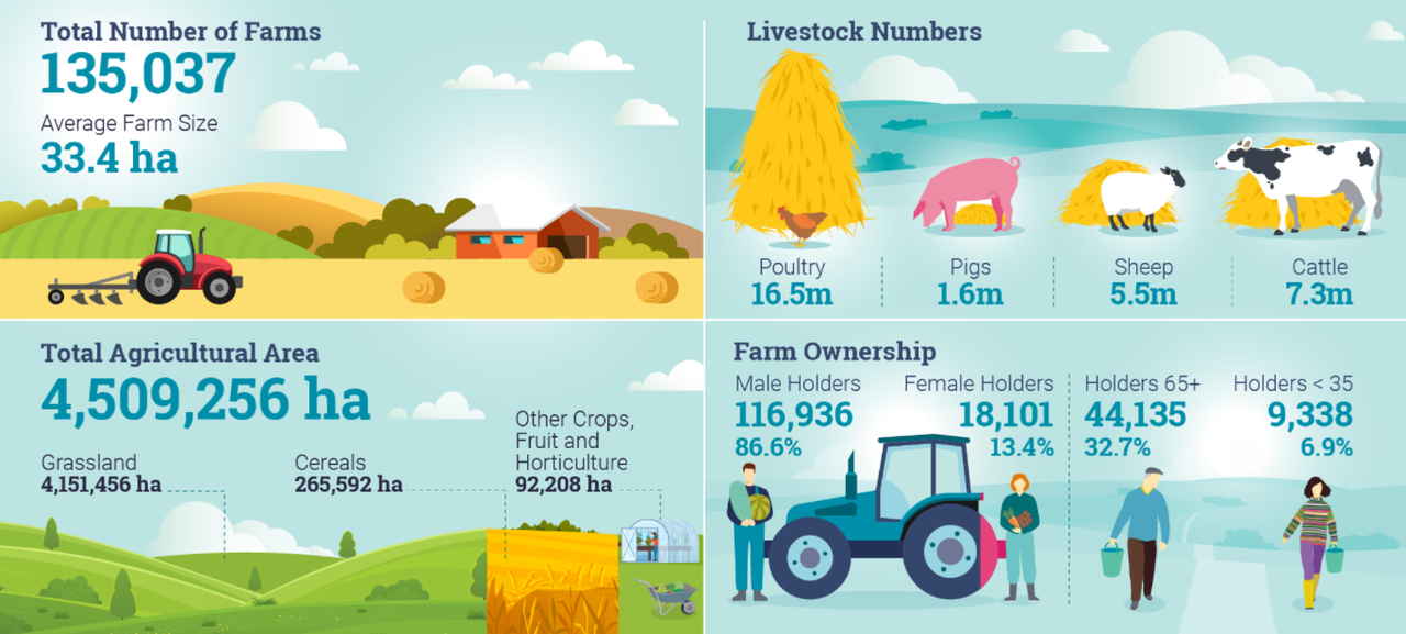 Census: Percentage of female farm holders up by 1% in a decade