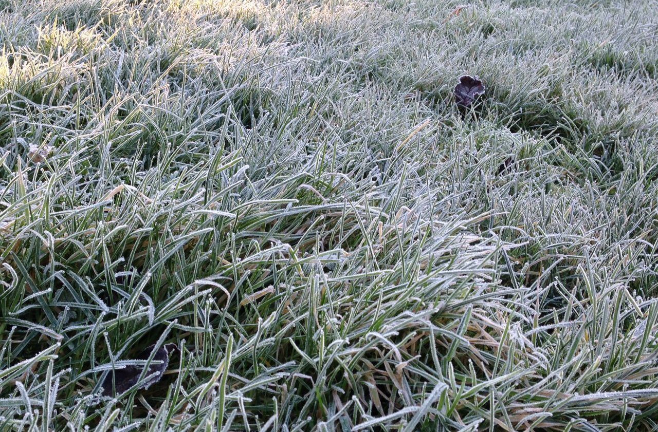 Weather to be unsettled overall, turning colder from midweek