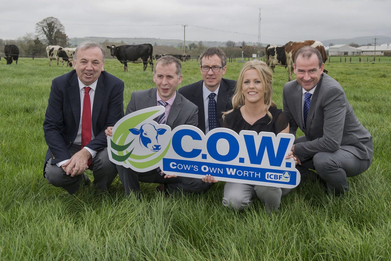 Know the best and worst 'C.O.W.' in your herd?