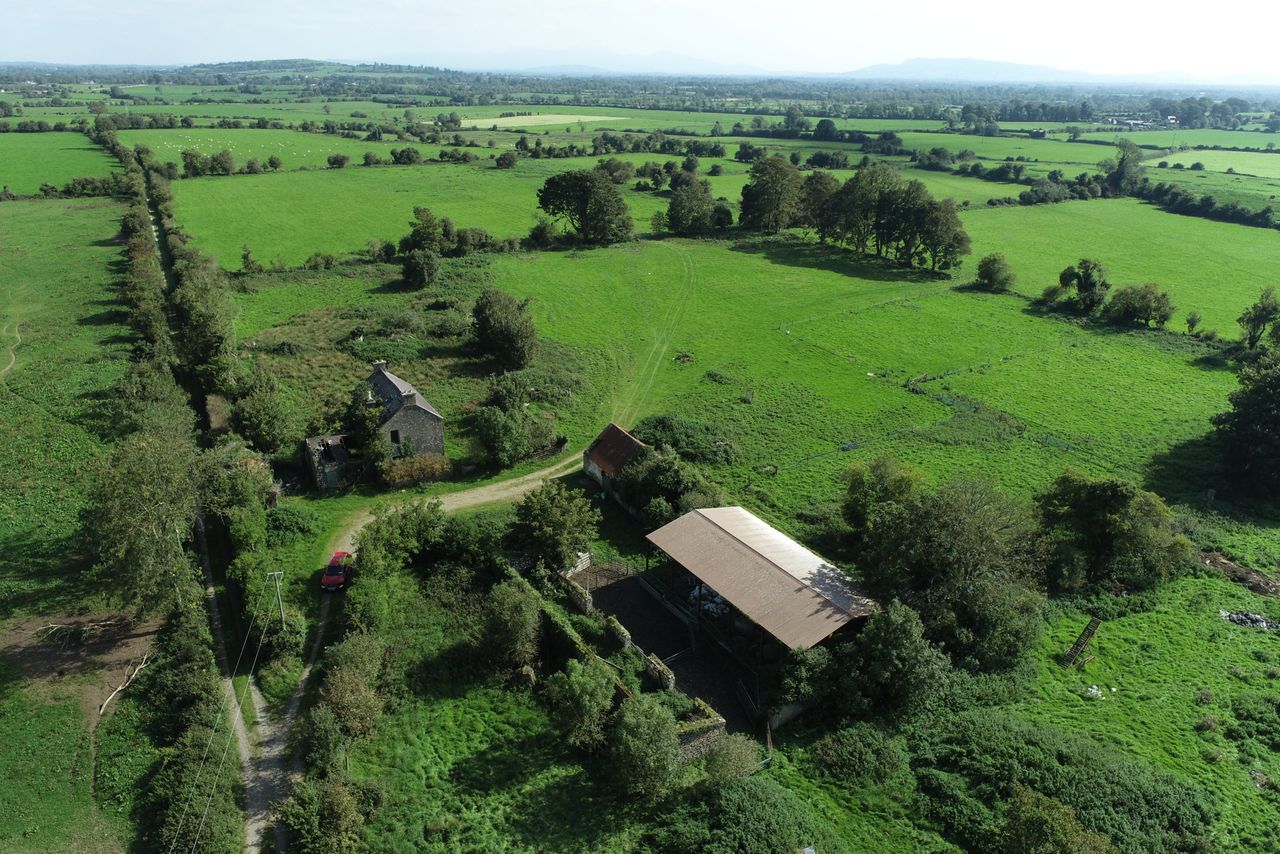 Bruff farm offers 'prime grazing land'