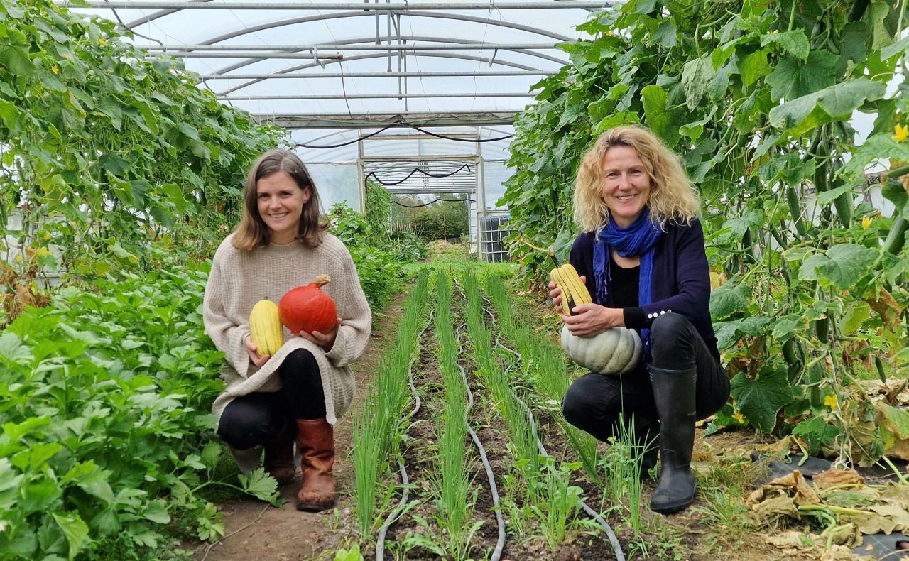 Ireland to host European Organic Congress next month