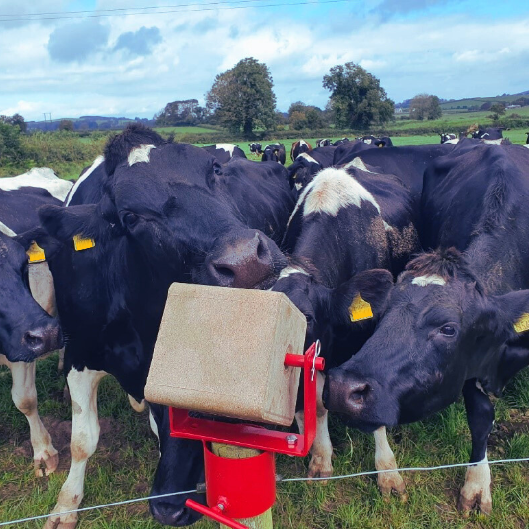 Increasing profits through boosted animal health and performance