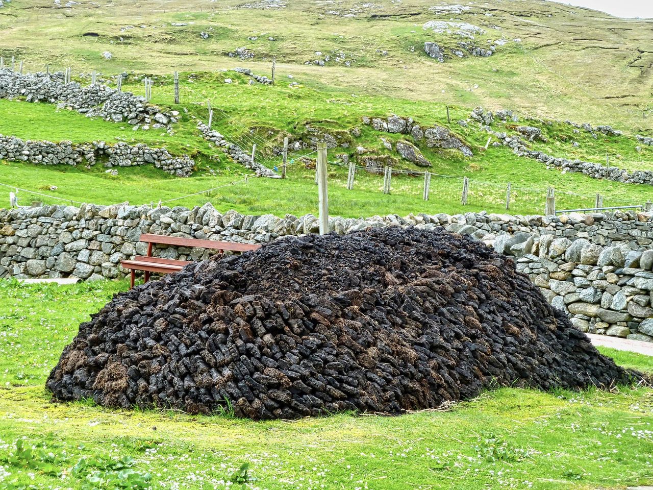 'Economic madness' to import peat - TD