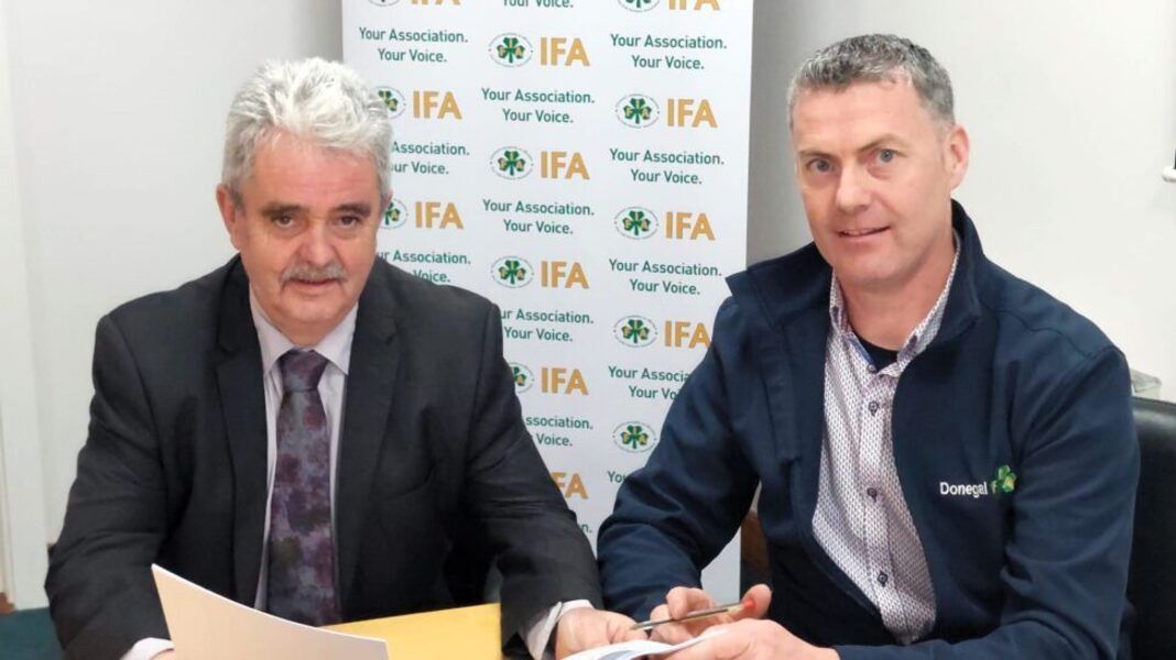 Adrian Gallagher elected as new IFA sheep chair