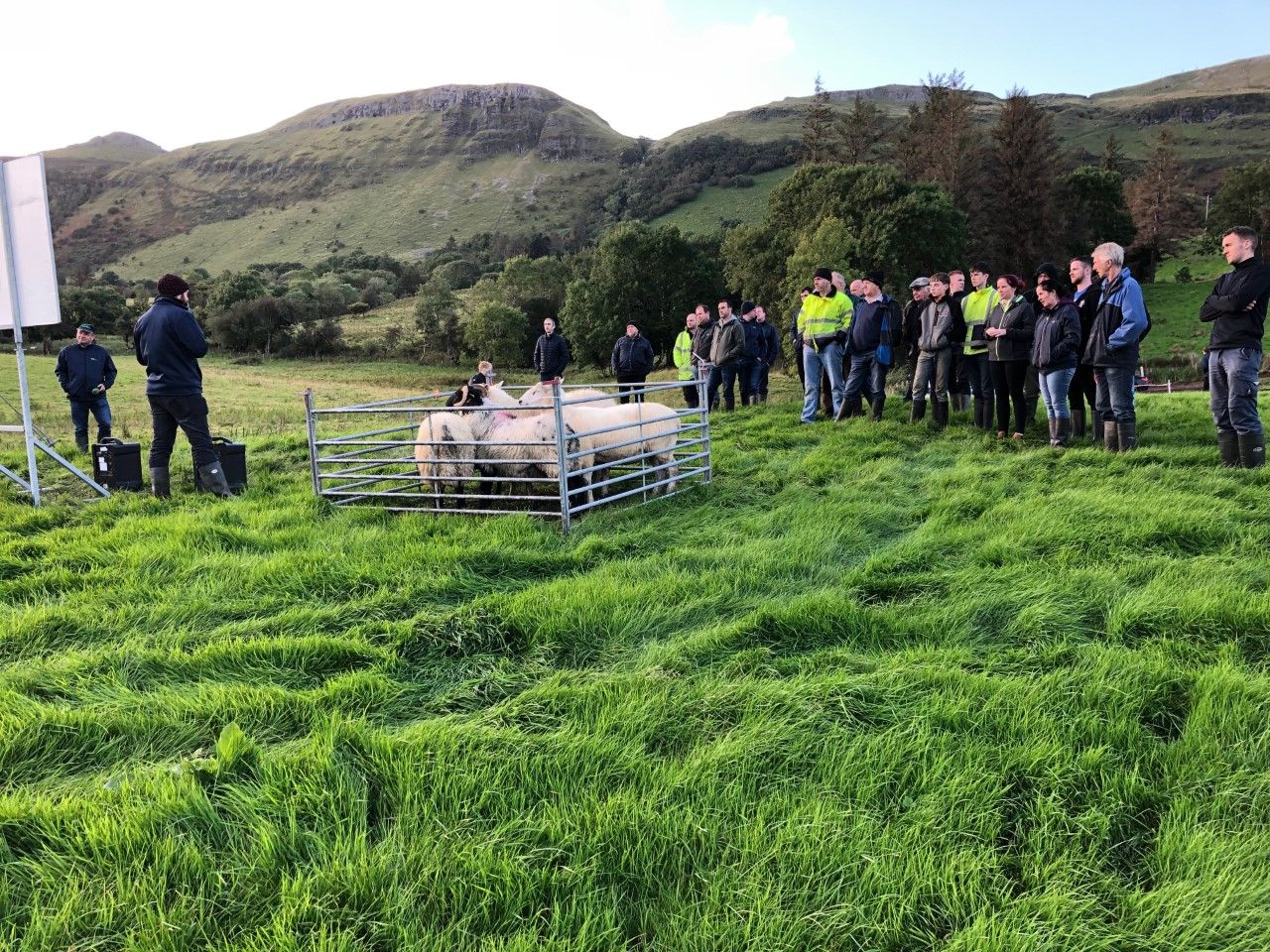 How can you minimise the risk of disease on your sheep farm?