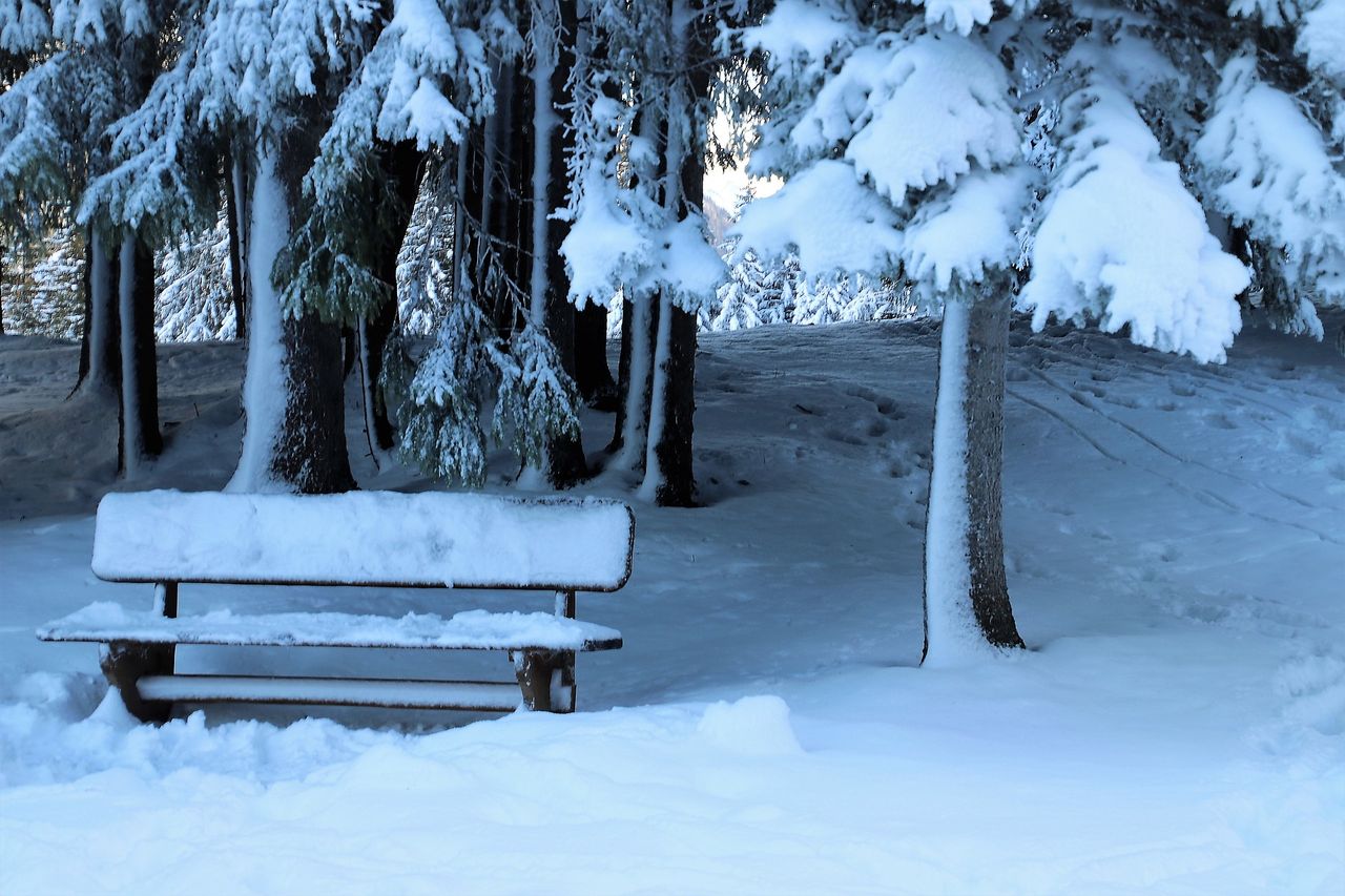 Opinion: What is your favourite Christmas poem?