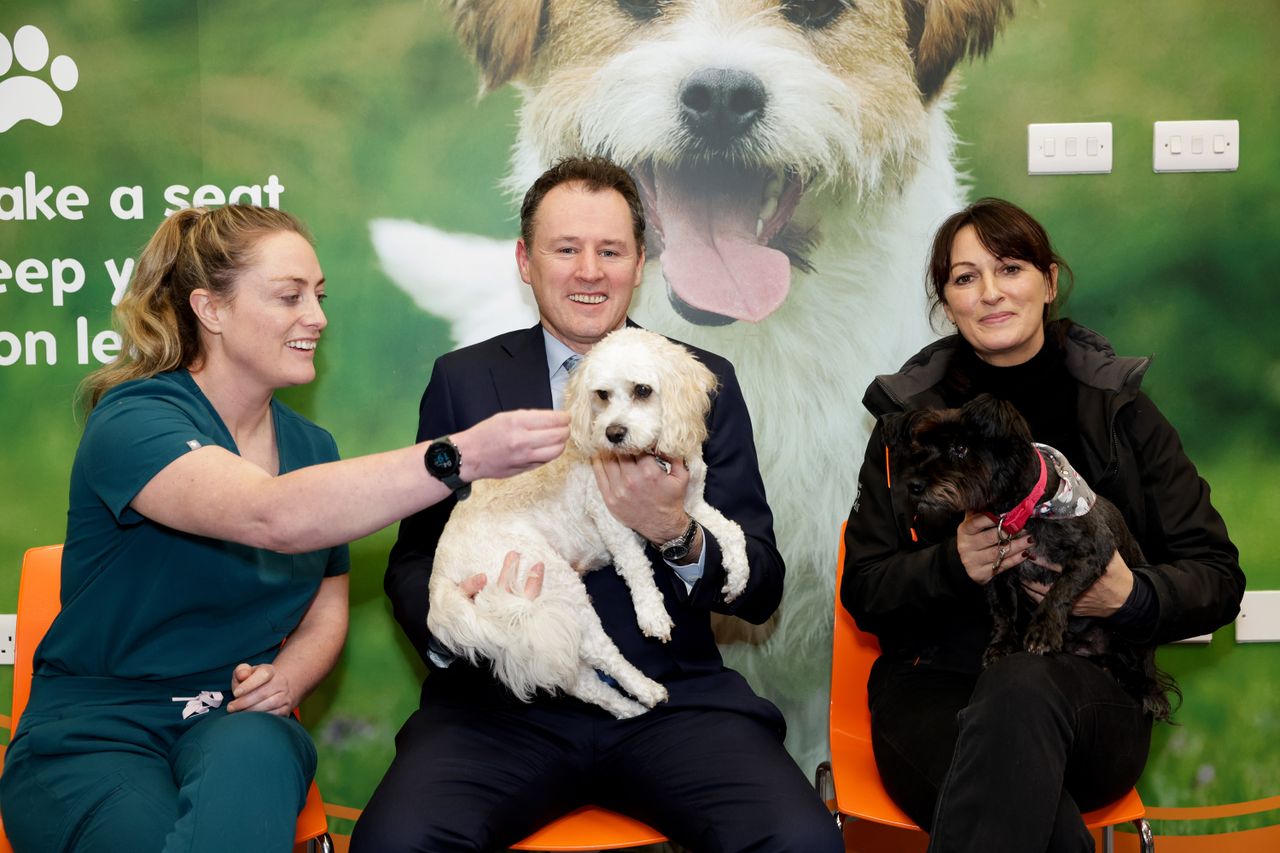 Animal welfare charities to receive €6 million funding