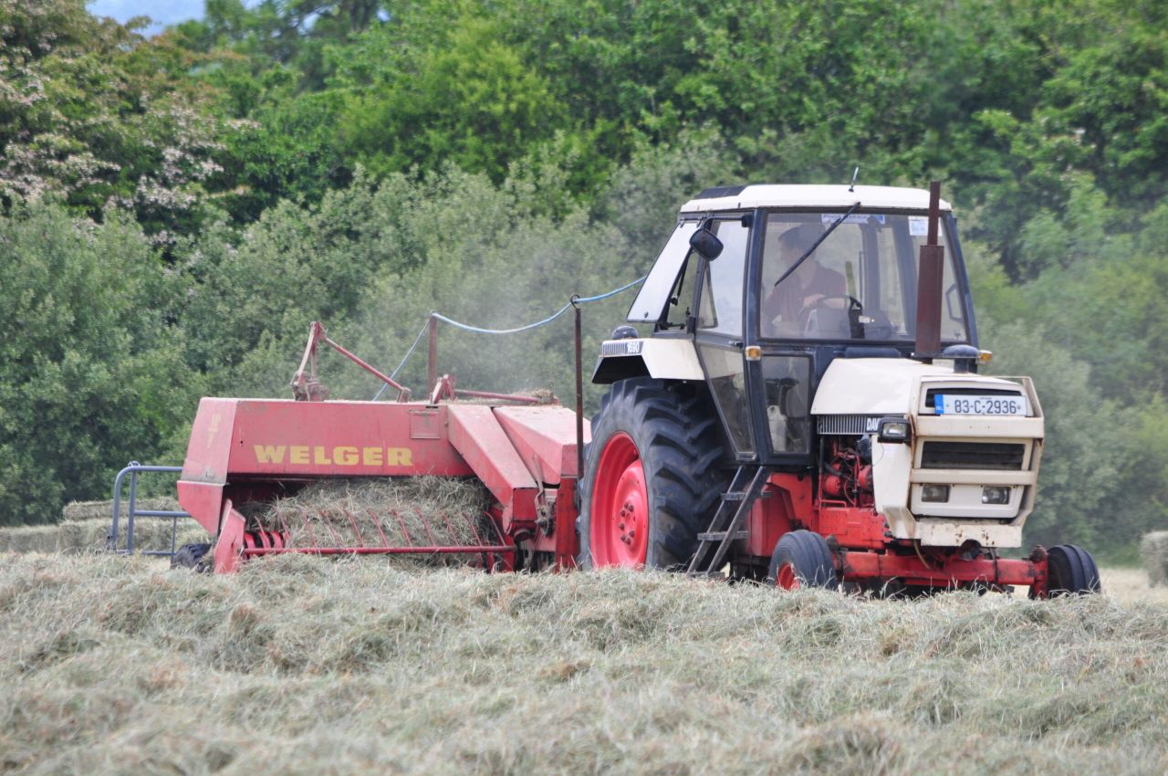 Pressure mounts on Creed to allow farmers to cut THMs