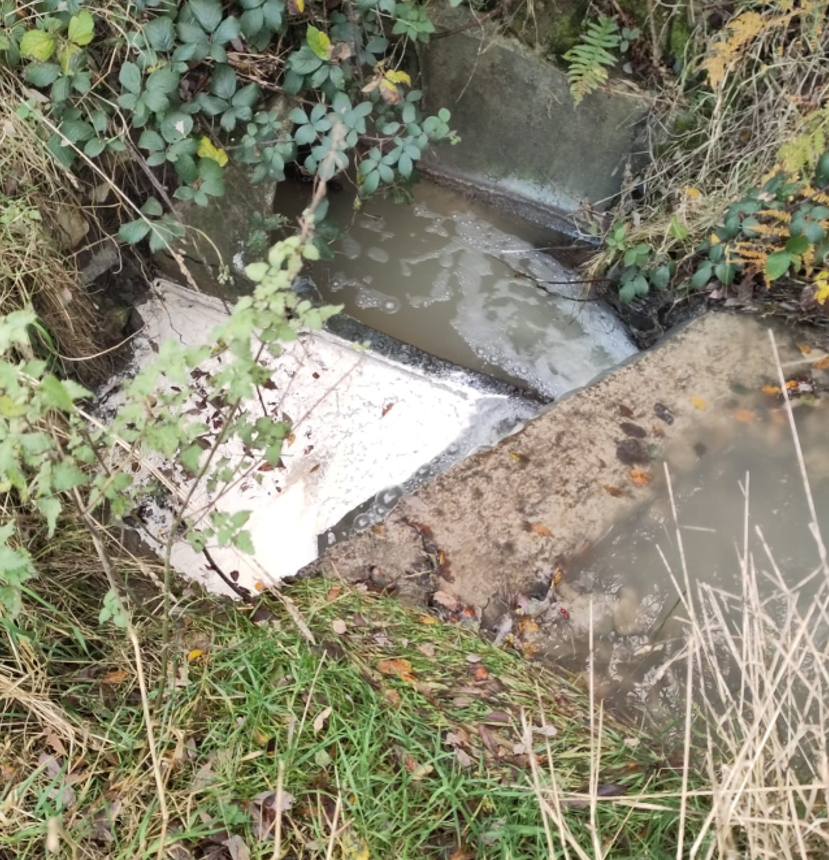 Co-op to pay €15,000 in legal costs following river 'pollution' incident