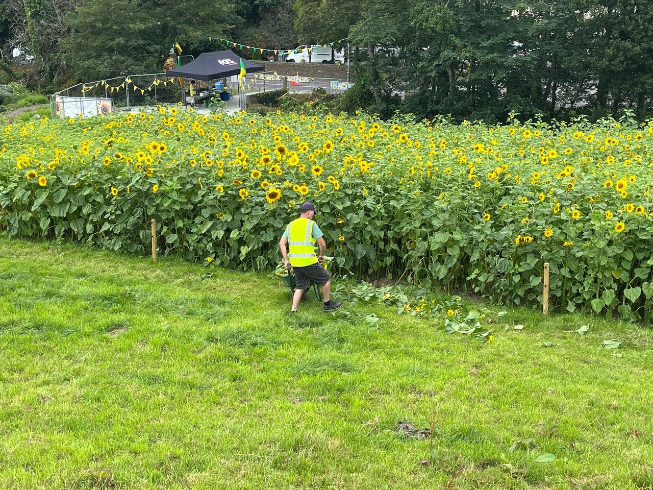 West Cork farmers fundraise by bringing Leap into bloom
