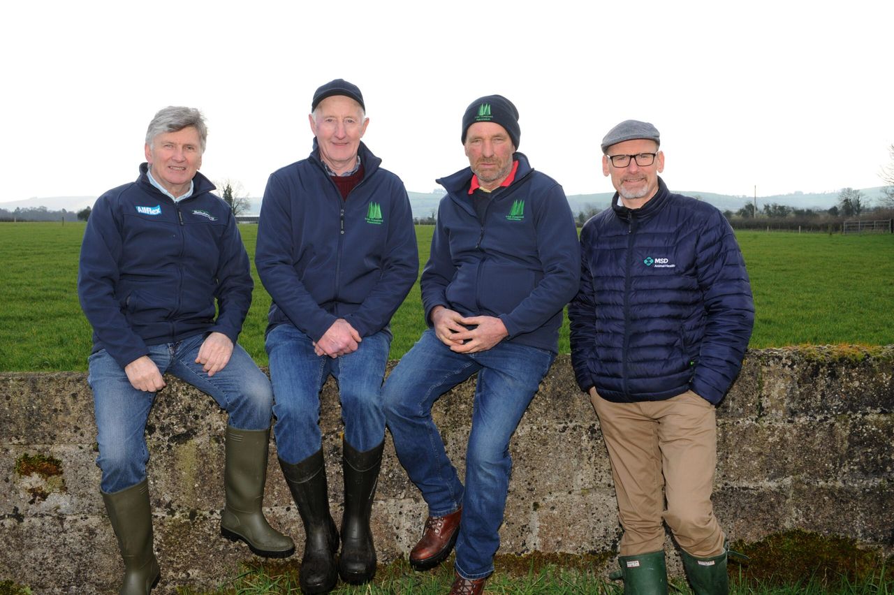 Diary date: What's on the agenda at the IGA sheep conference?