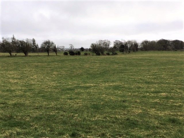 Residential farm in Galway guiding at €9,000/ac - in one division