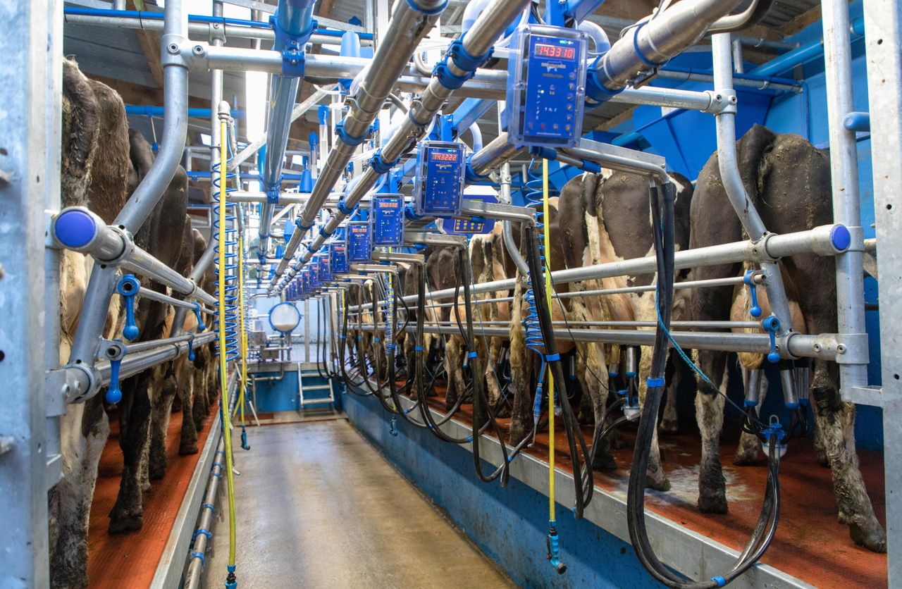 Latest GDT auction marks 4 index increases on the trot