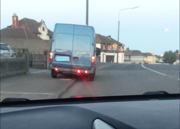Horse in Transit: Van driver stopped...with a horse in the back