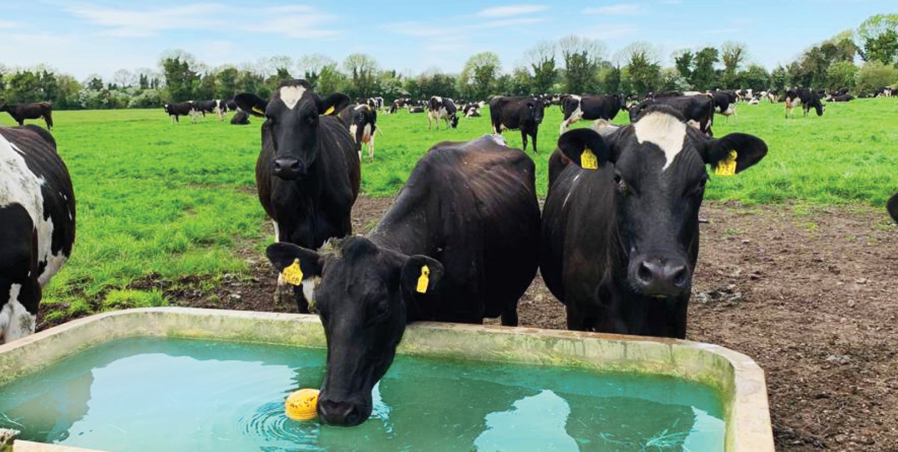 Kildare company launches world's first automated mineral dosing system